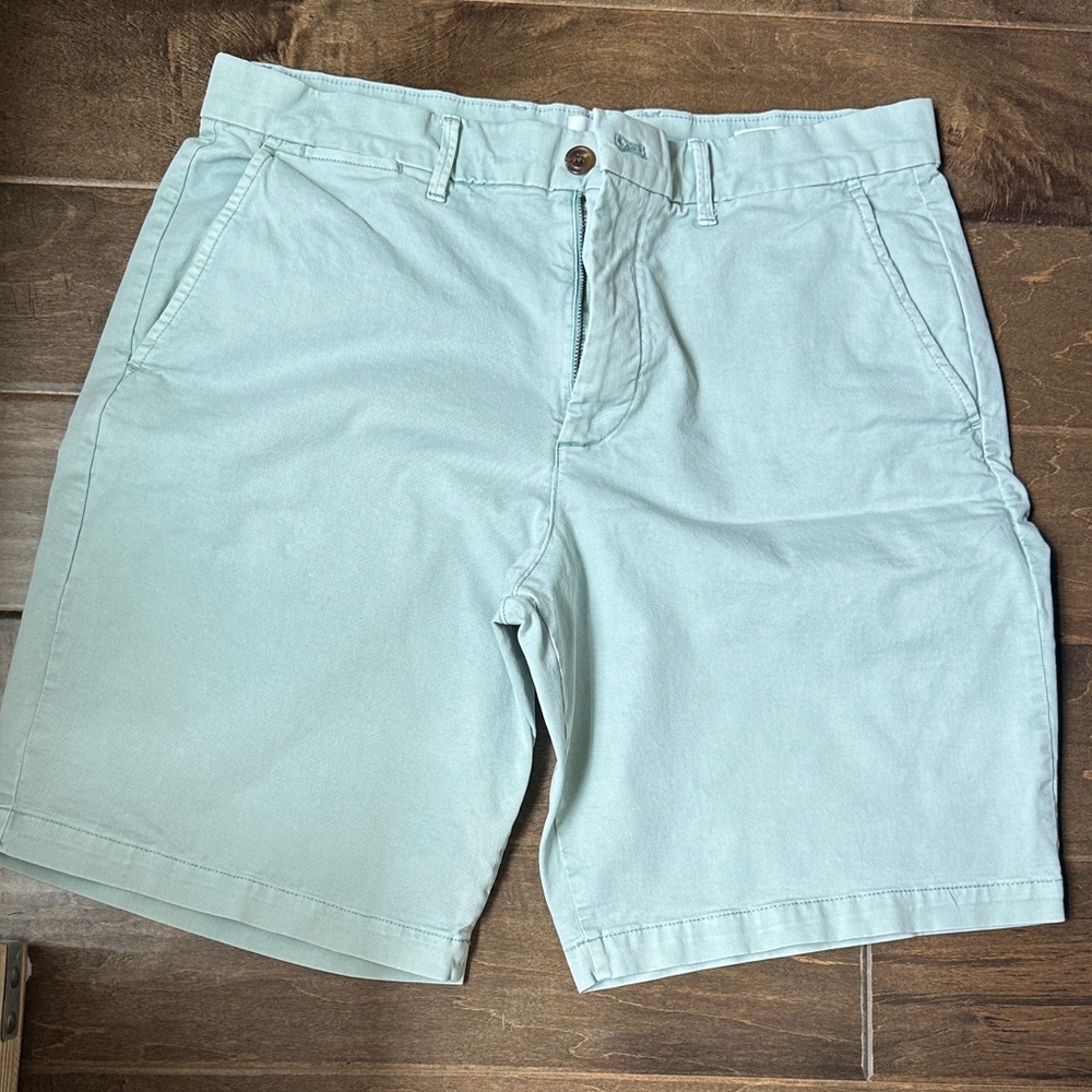GAP Men's Mint Green Flat Front Shorts